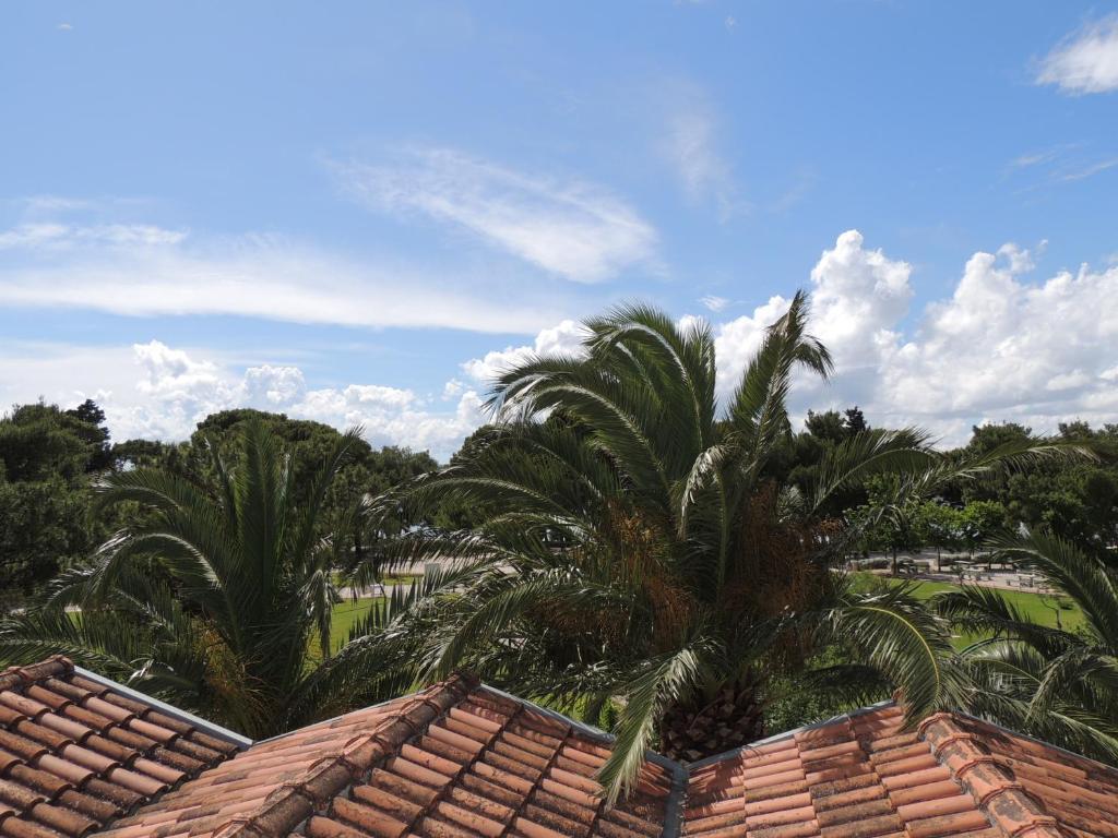 Seaside Apartment Makarska